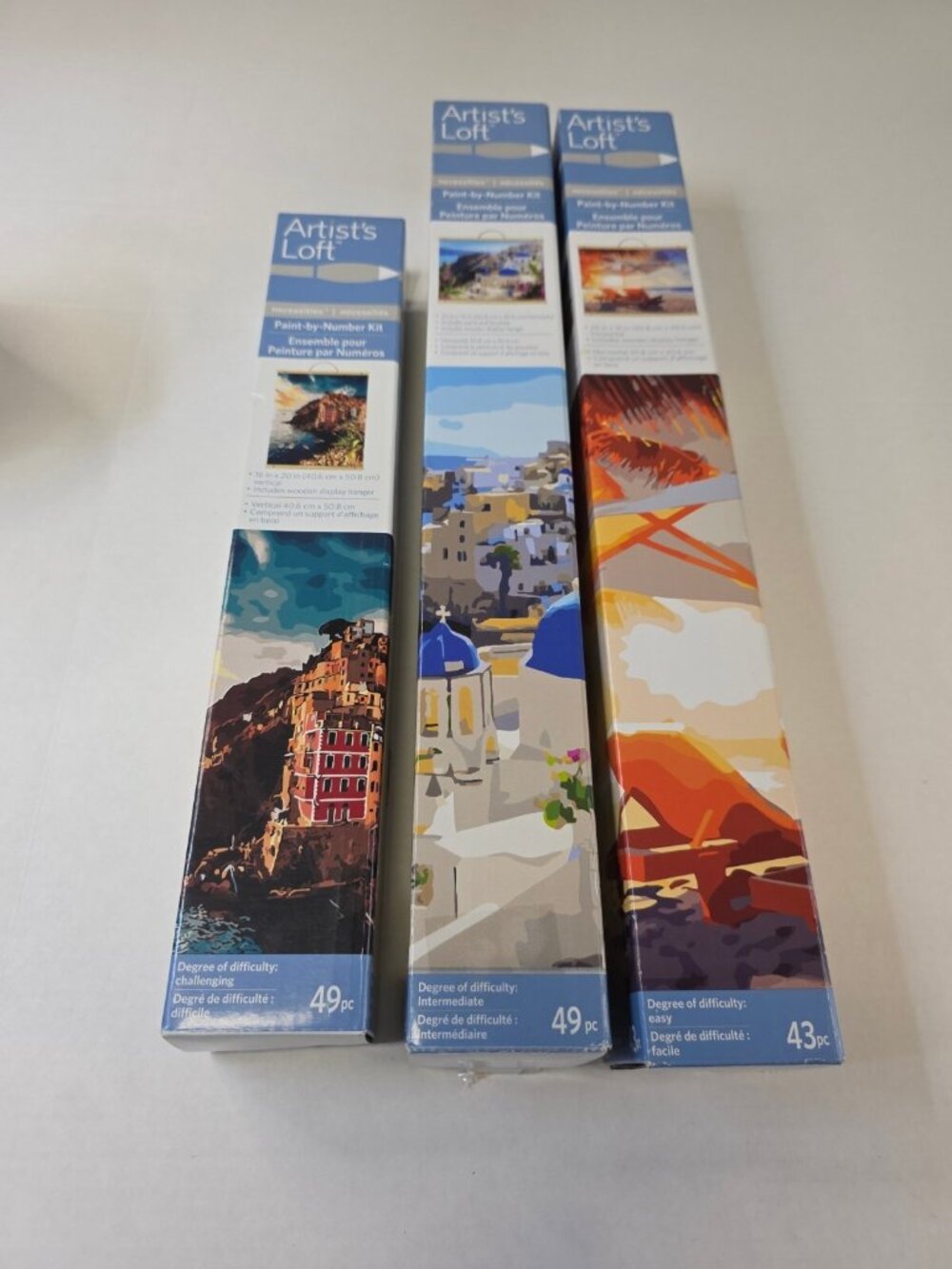 3 Artists Loft Paint By Number Kits Lvl Easy Intermediate & Challenging Hanging